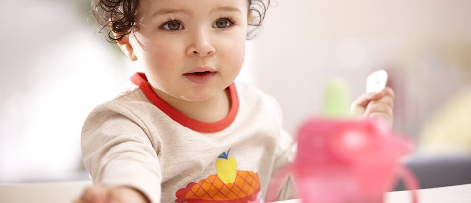 Philips AVENT - Toddler food - a balanced diet